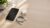 Why Is My iPhone Not Charging? Causes and Fixes (2026)